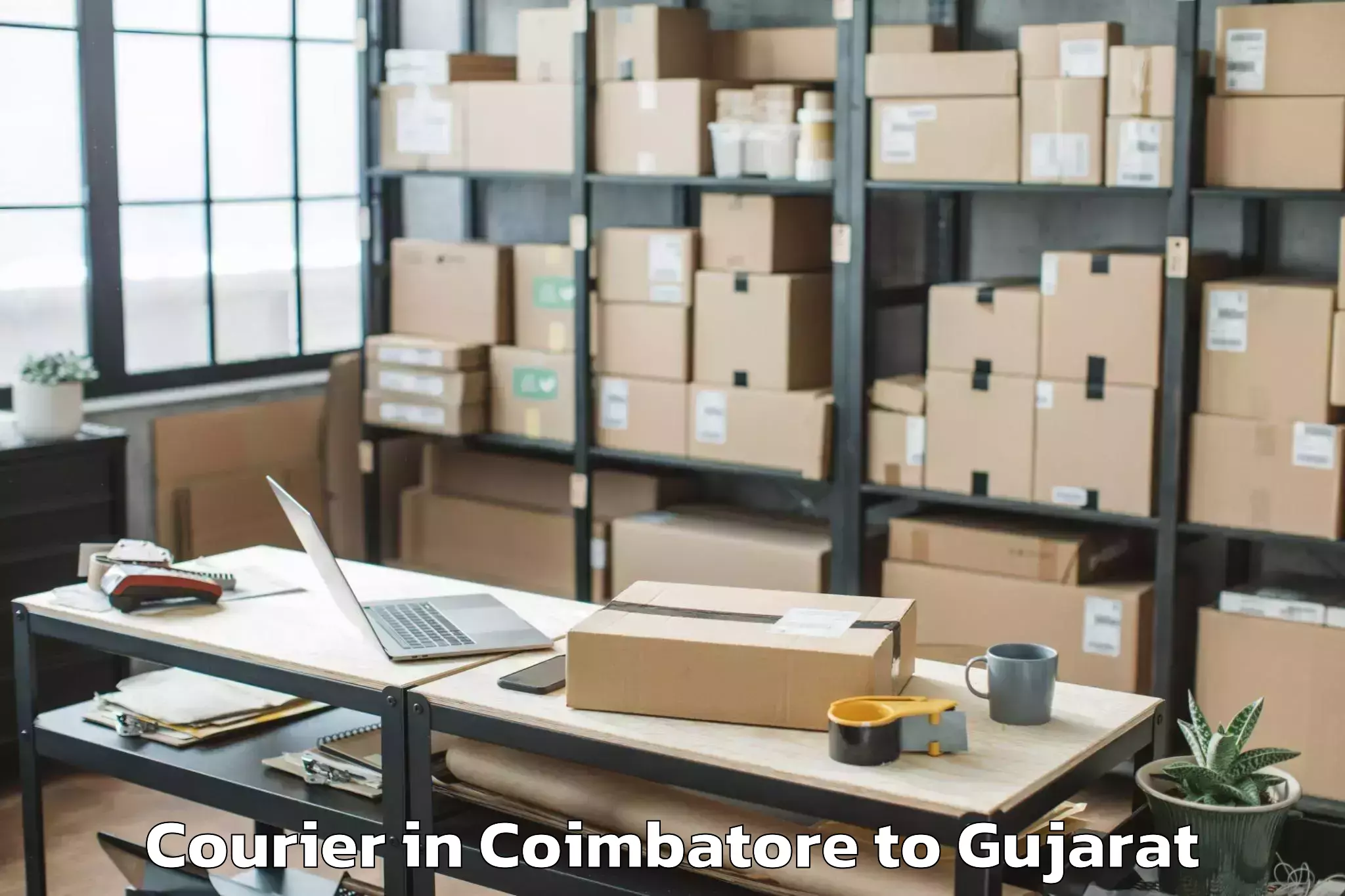 Leading Coimbatore to Waghodia Courier Provider